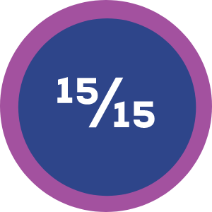 Graphic showing 15 out of 15